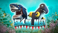 Shark Meet